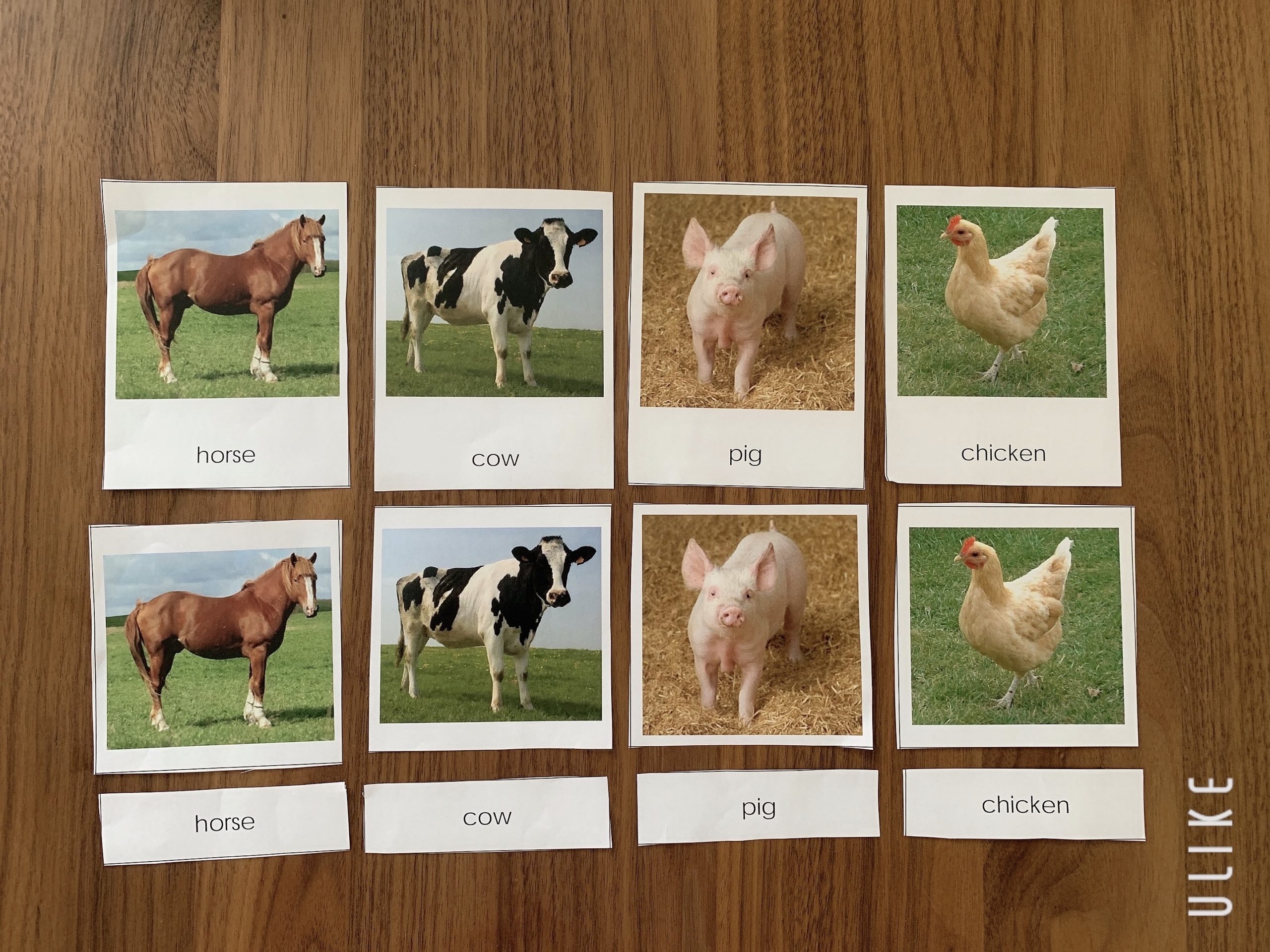 絵カードの無料ダウンロードサイトを紹介 動物の絵カードでおうちモンテや知育をしよう おうちdeモンテ
