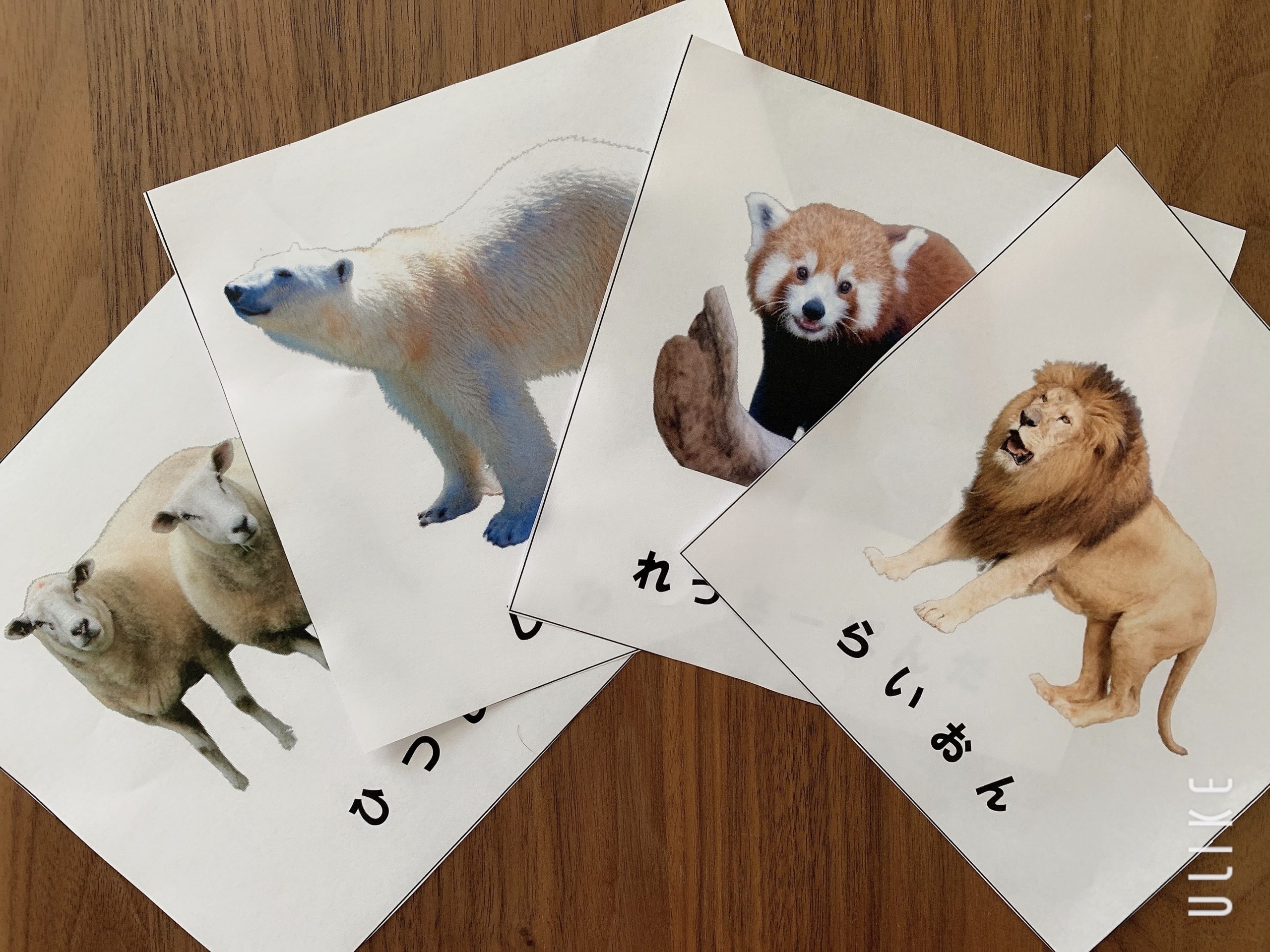 おうちモンテや知育で使える 動物 の絵カード 無料ダウンロード おうちdeモンテ