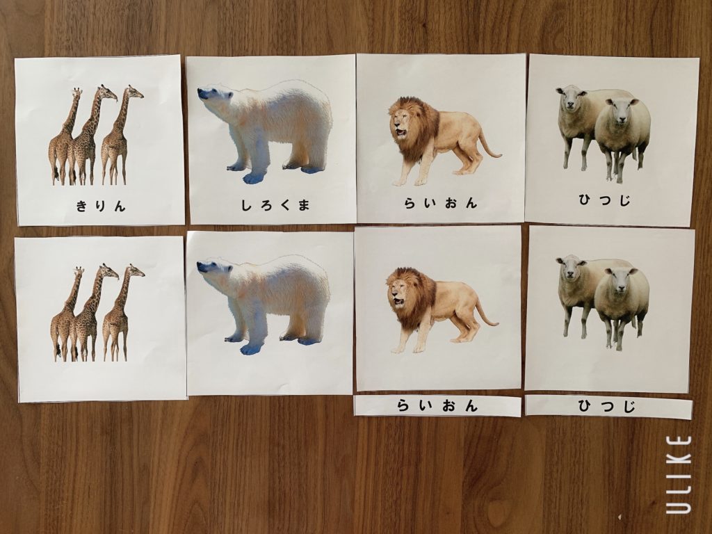 ブランドショッパー付き 新品 絵カード 2 動物 Sale 公式通販 Globalayucare In