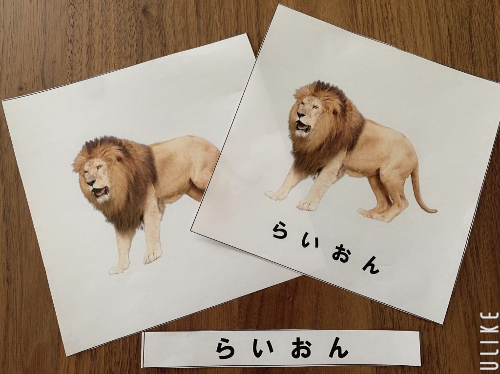 おうちモンテや知育で使える 動物 の絵カード 無料ダウンロード おうちdeモンテ